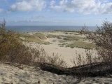 baltic sea dunes on the Curonian Split in Lithuania
